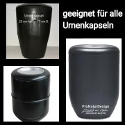 Holz Urne - Esche s09